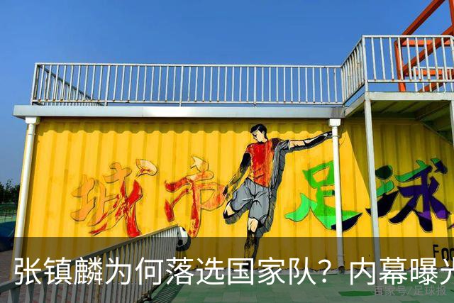 张镇麟为何落选国家队？内幕曝光，叫人心疼，郭士强并没放弃他