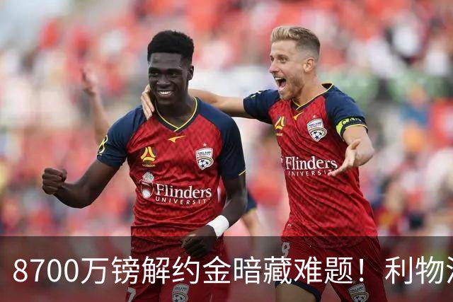 8700万镑解约金暗藏难题！利物浦四选一引援抉择，加克波或将离队